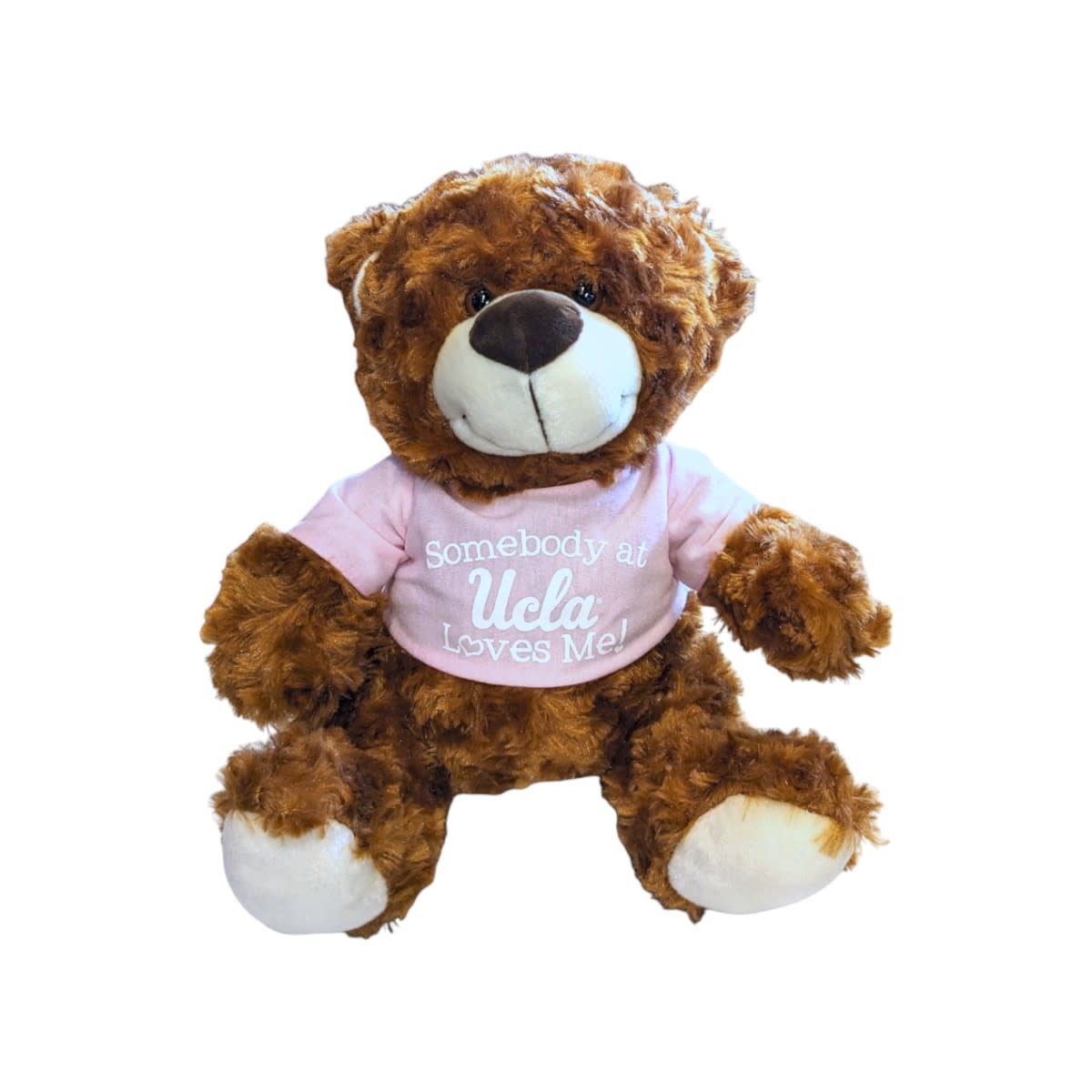 Mascot Factory Somebody At UCLA Loves Me Brown Bear 10'