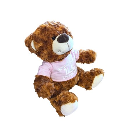 Mascot Factory Somebody At UCLA Loves Me Brown Bear 10'