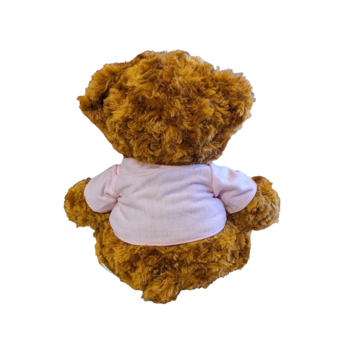 Mascot Factory Somebody At UCLA Loves Me Brown Bear 10'