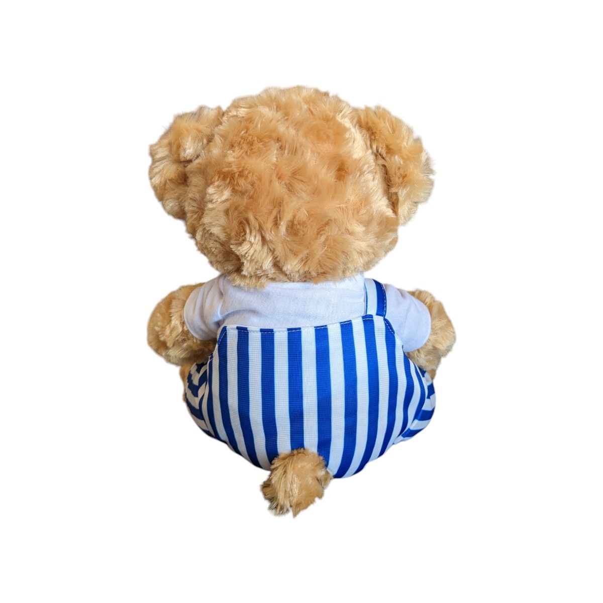 Mascot Factory UCLA Game Day Fred White