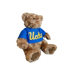 Mascot Factory Ucla Jordan Bear with T-Shirt 8