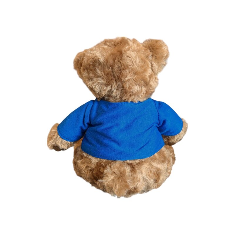 Mascot Factory Ucla Jordan Bear with T-Shirt 8