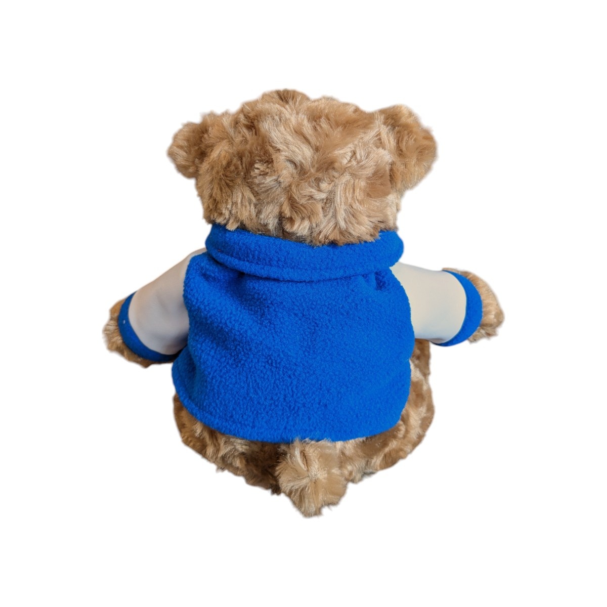 Mascot Factory Ucla Jordan Bear with Varsity Jacket 10"