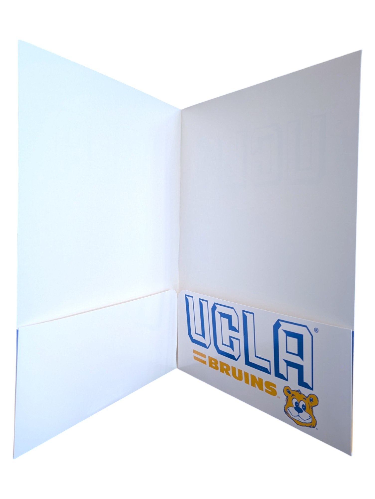 MCM Brands UCLA Bruins Joe Bear Sunset Folder