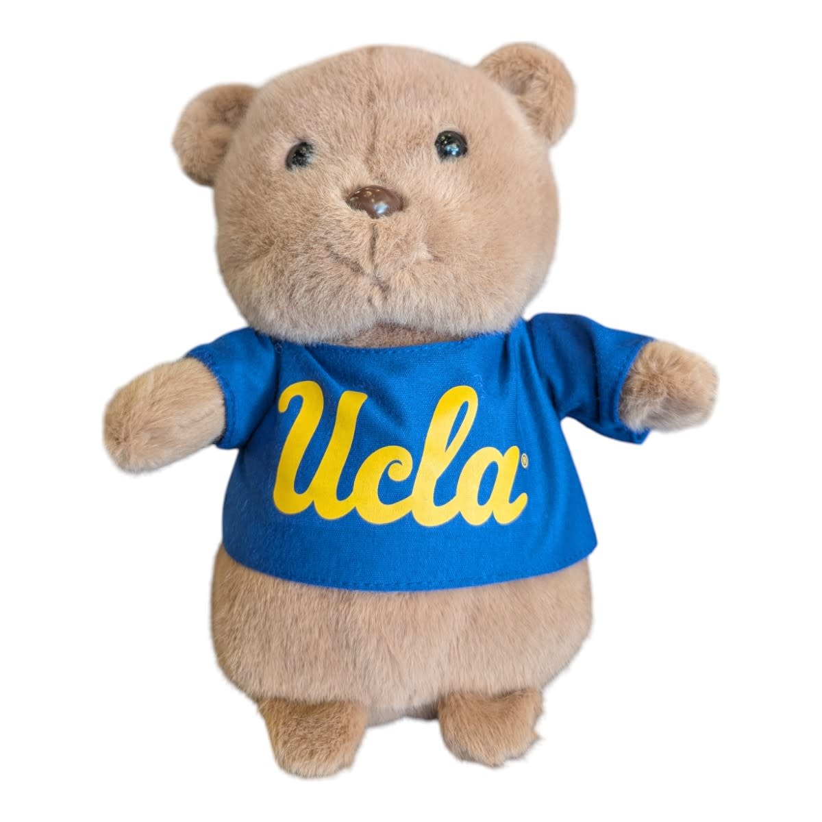 Mascot Factory UCLA Country Critter Bear