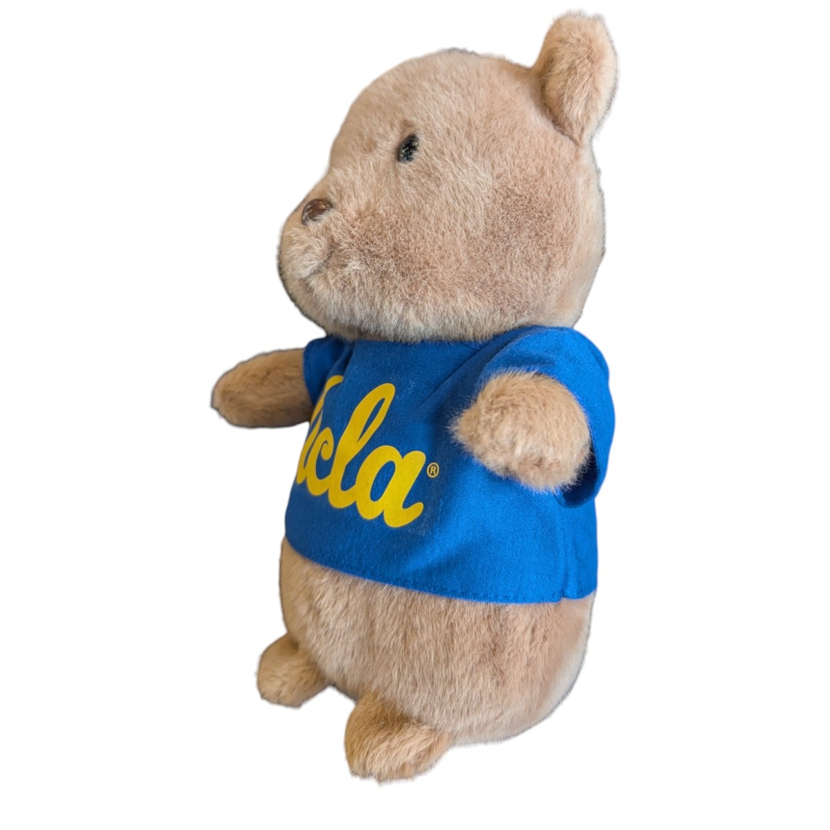 Mascot Factory UCLA Country Critter Bear