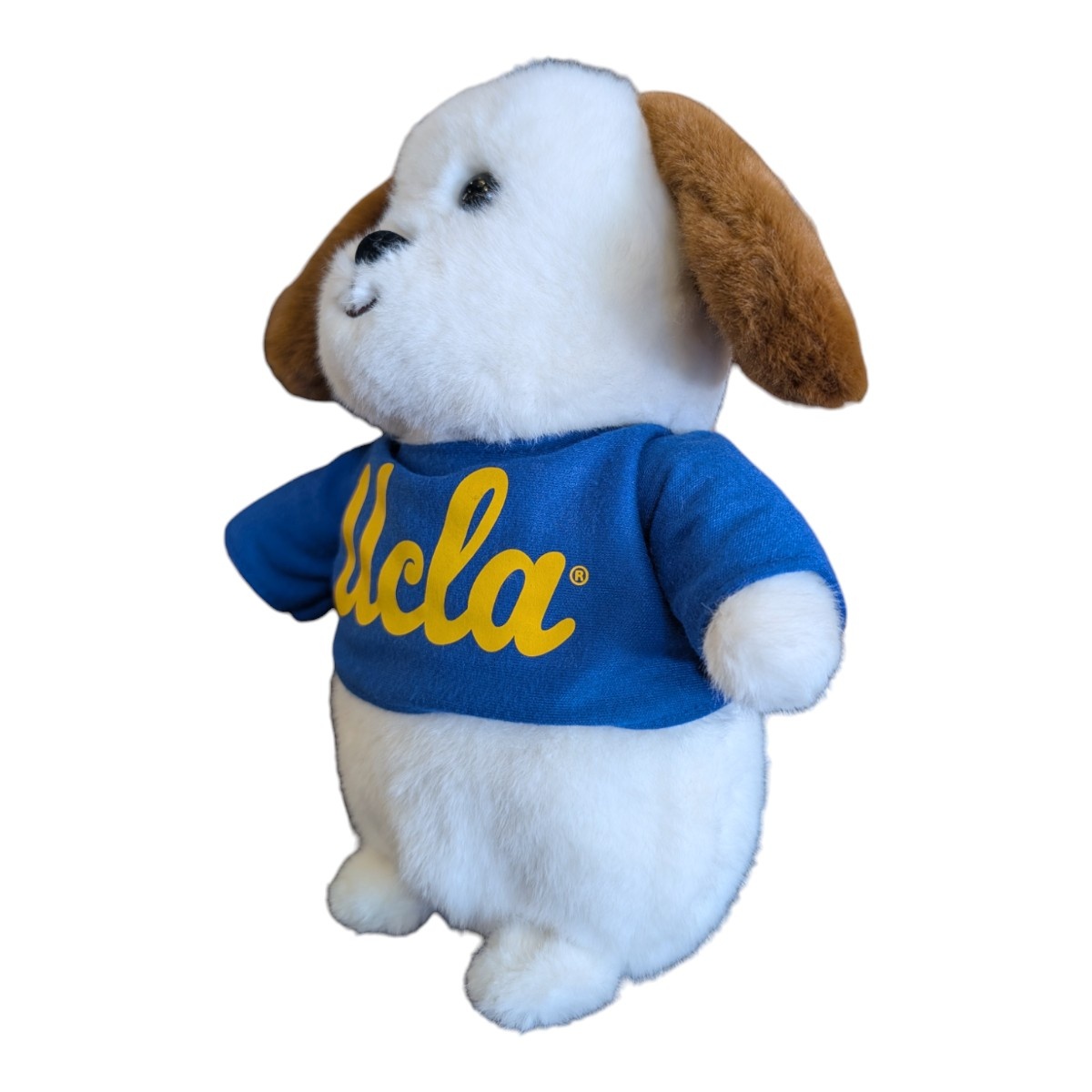 Mascot Factory UCLA Country Critter Dog