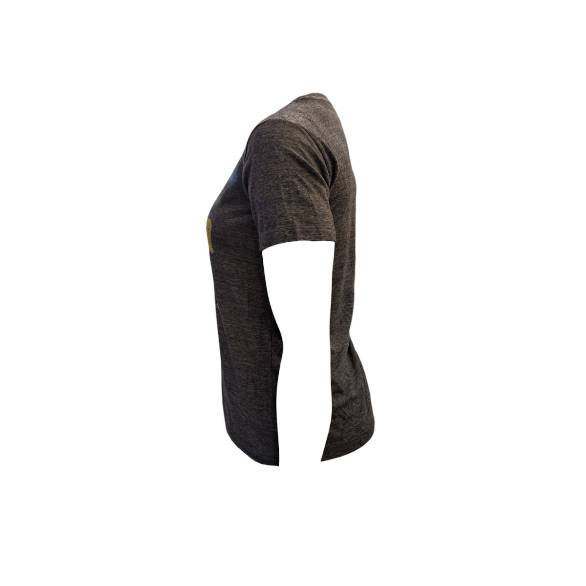 UCLA TokyoDachi Mail  Soft  Tee