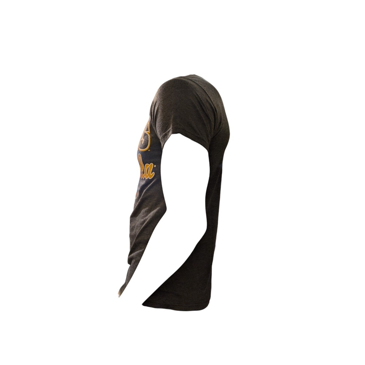 Blue84 UCLA Script TokyoDachi  Malibu Tee