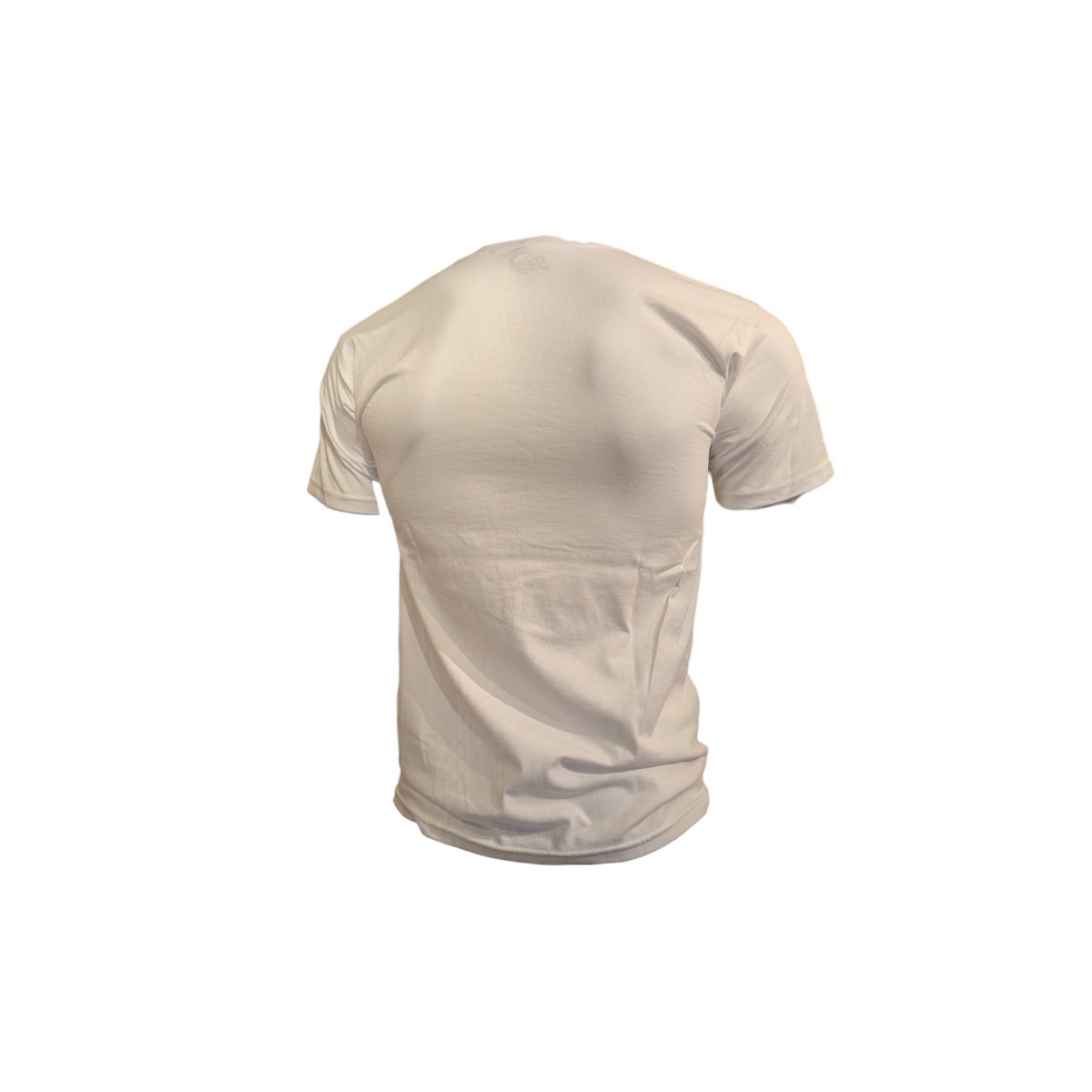 Blue84 UCLA Script TokyoDachi  Tamarac Ringspun Tee