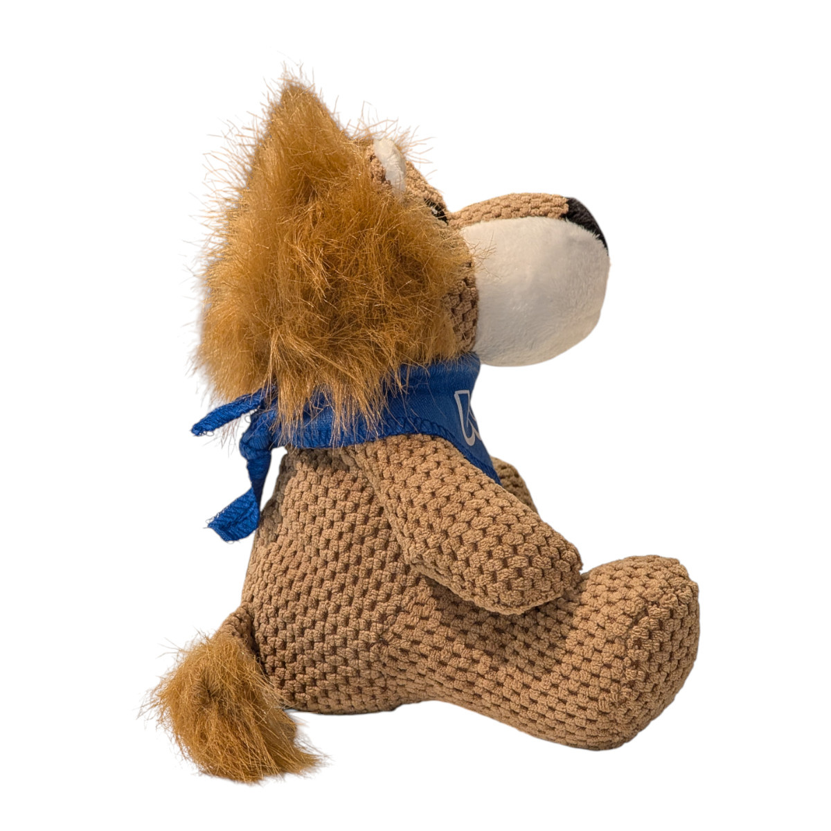 MCM Brands UCLA Friendly Bunch Bandana