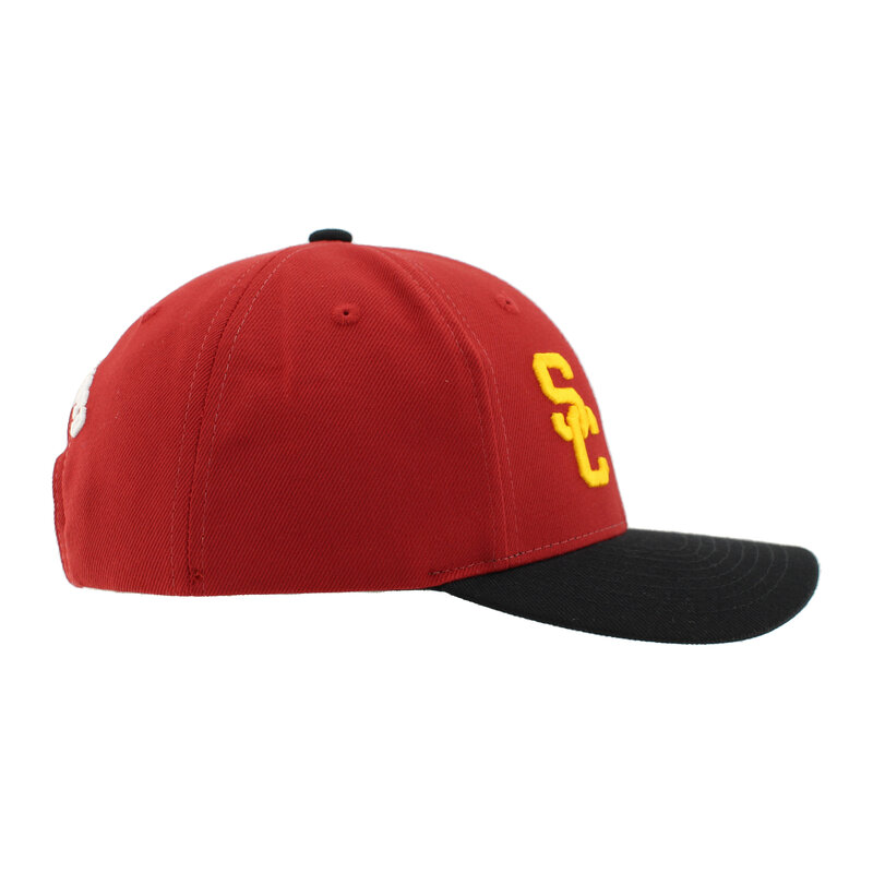 UCLA House Divided Cruved Brim Snapback