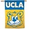 Wincraft UCLA Vintage bear Vertical Flag 28"X40"