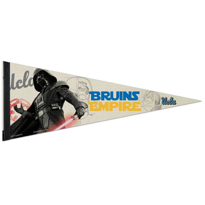 Bruins Vintage Premium Pennant