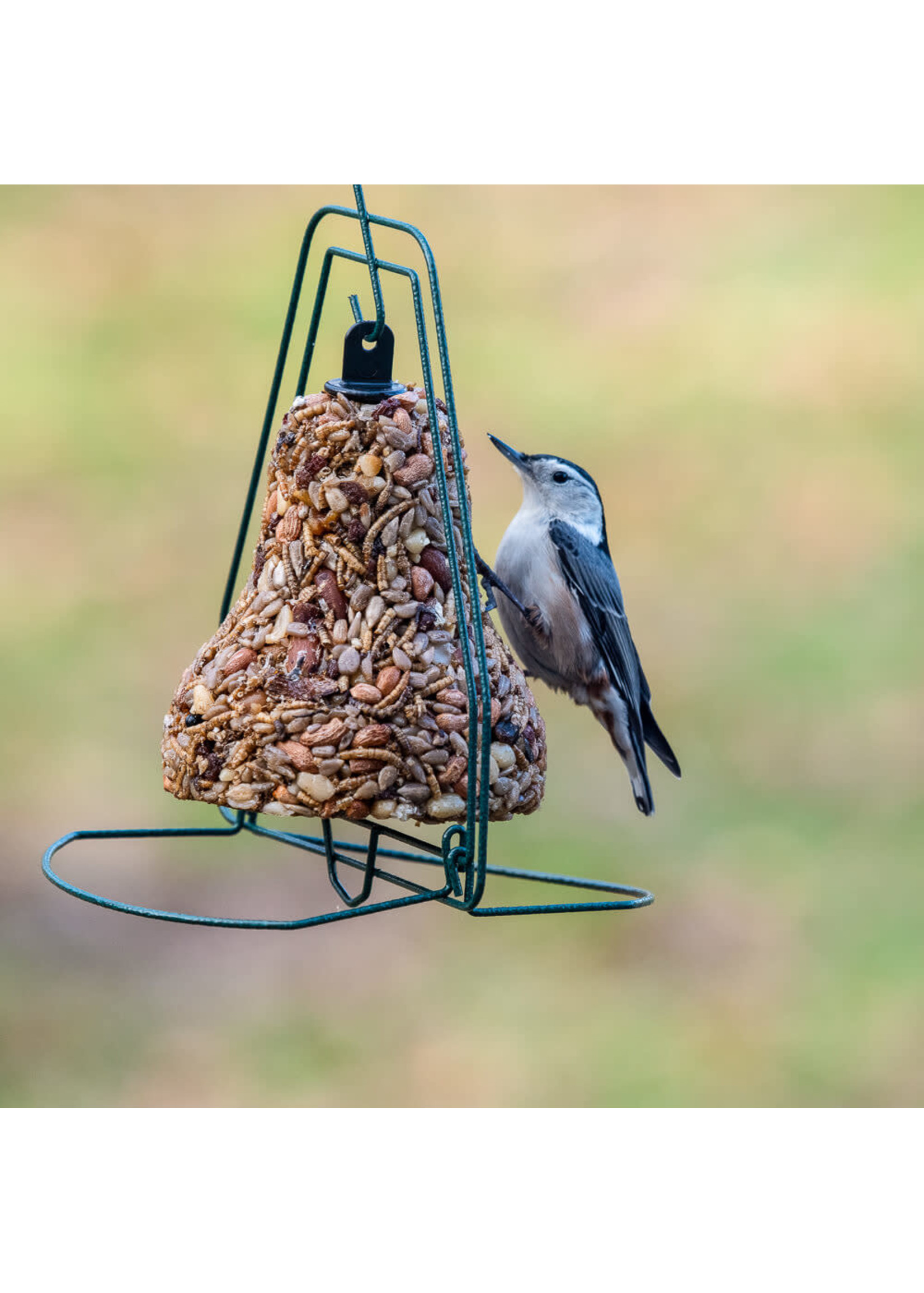 Seed Bell Hanger