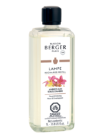 Lampe Berger Is Maison Berger - All Seasons Floral & Gifts