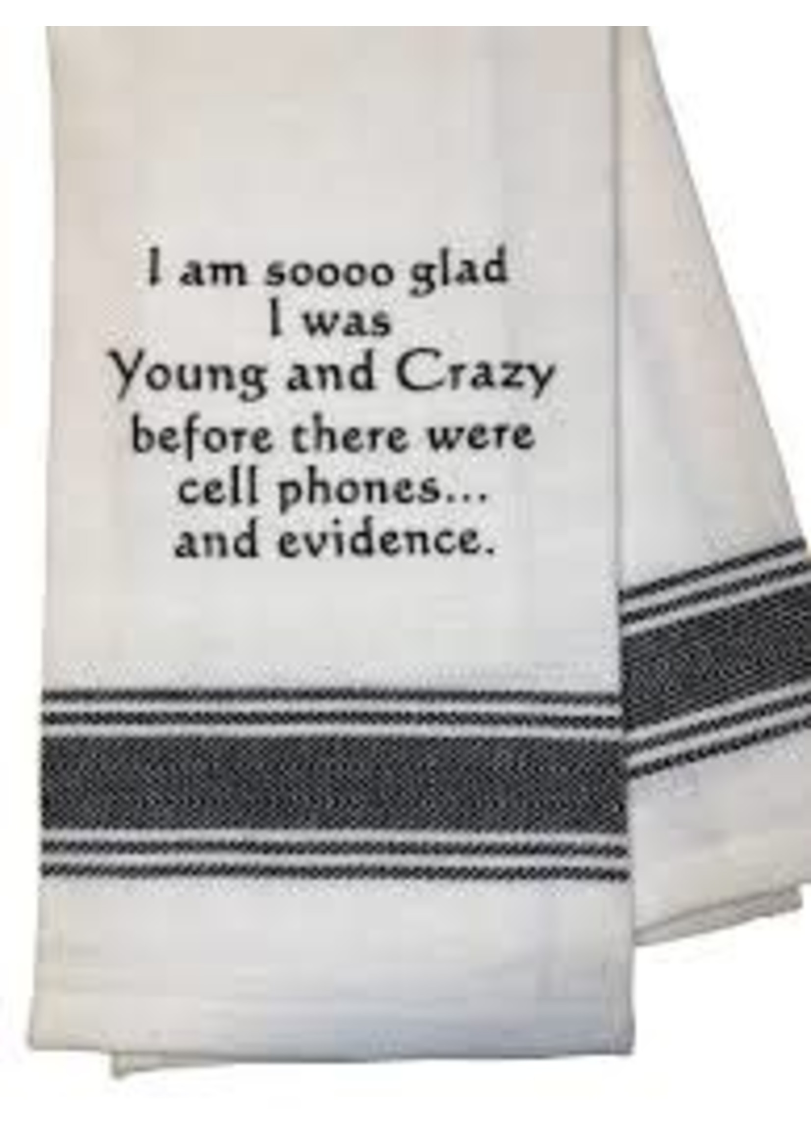 Wild Hare Designs Glad I Was Young and Crazy Before Towel