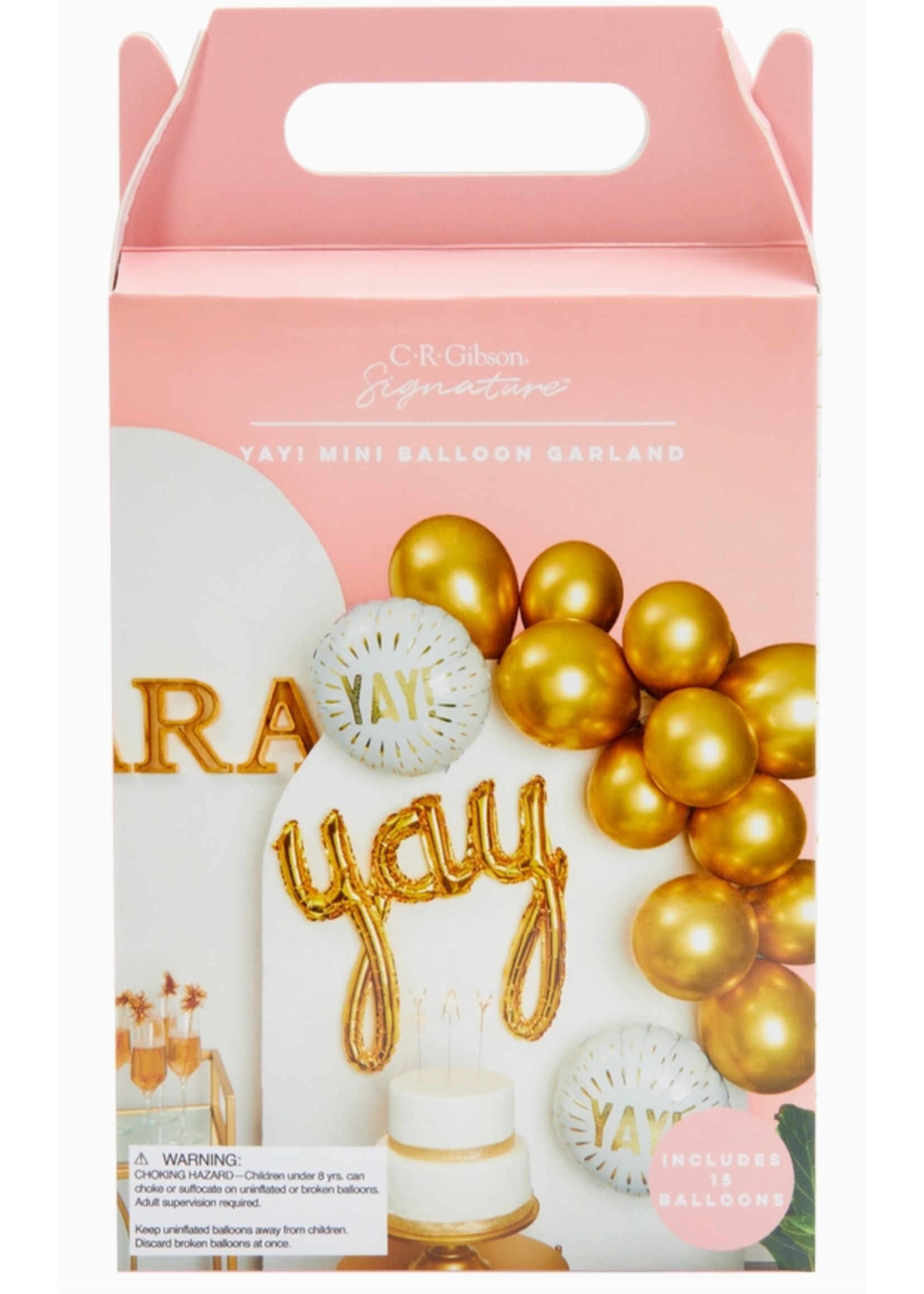 Yay!  Mini Balloon Kit