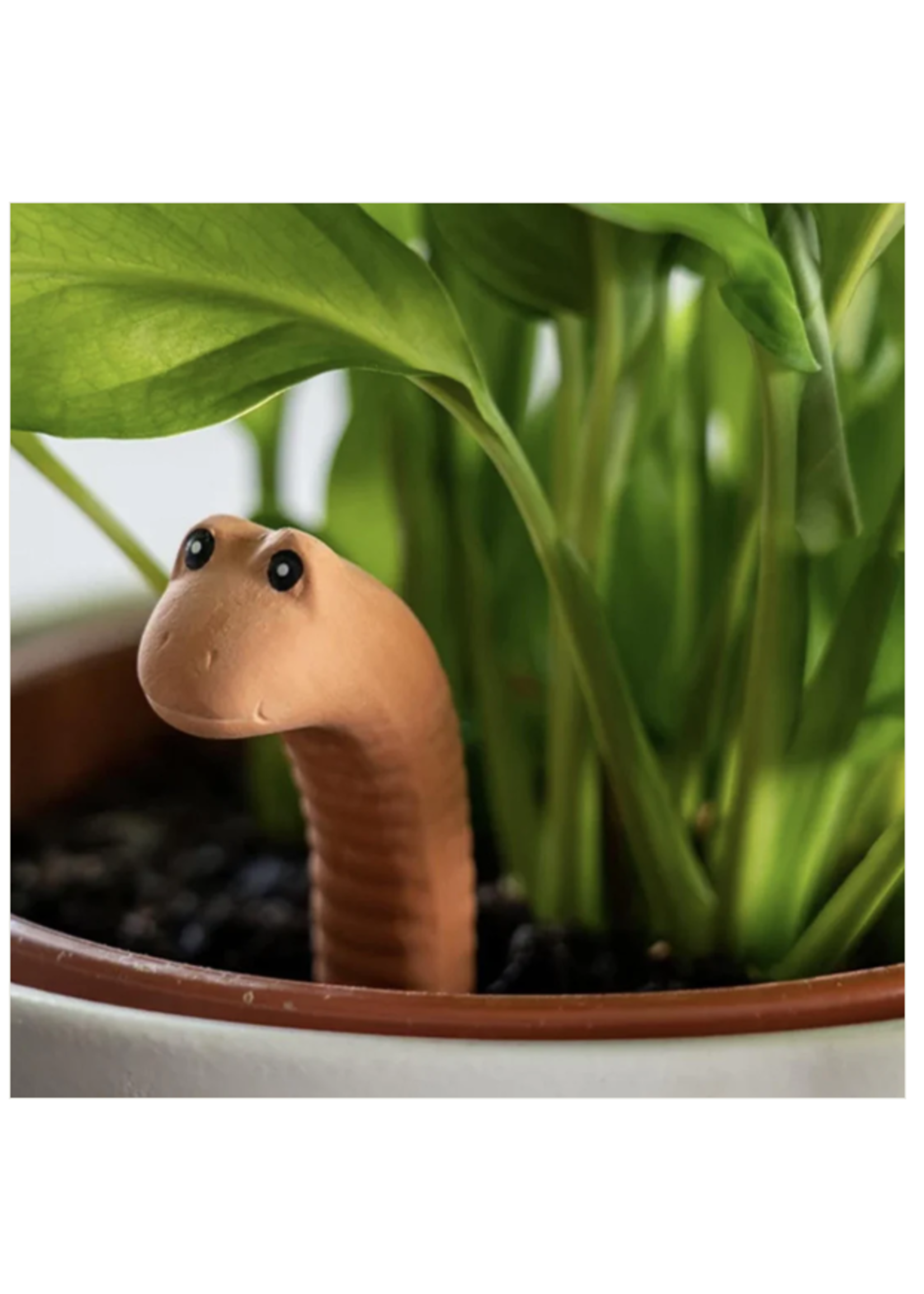 Worm Plant Water Sensor