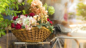 What a Skilled Florist Creates That a Grocery Store Simply Can't