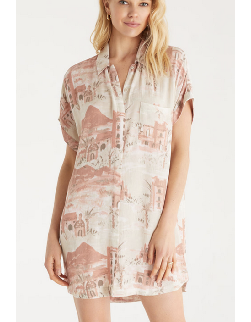 Z Supply Cyrus Dress