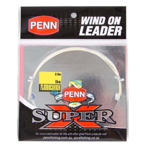 Penn fishing Penn wind on leader 400lb