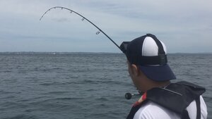 GoFish reviews eight soft bait fishing reels for 2018-19 NZ. GoFish reviews eight soft bait fishing reels for 2018-19 NZ.