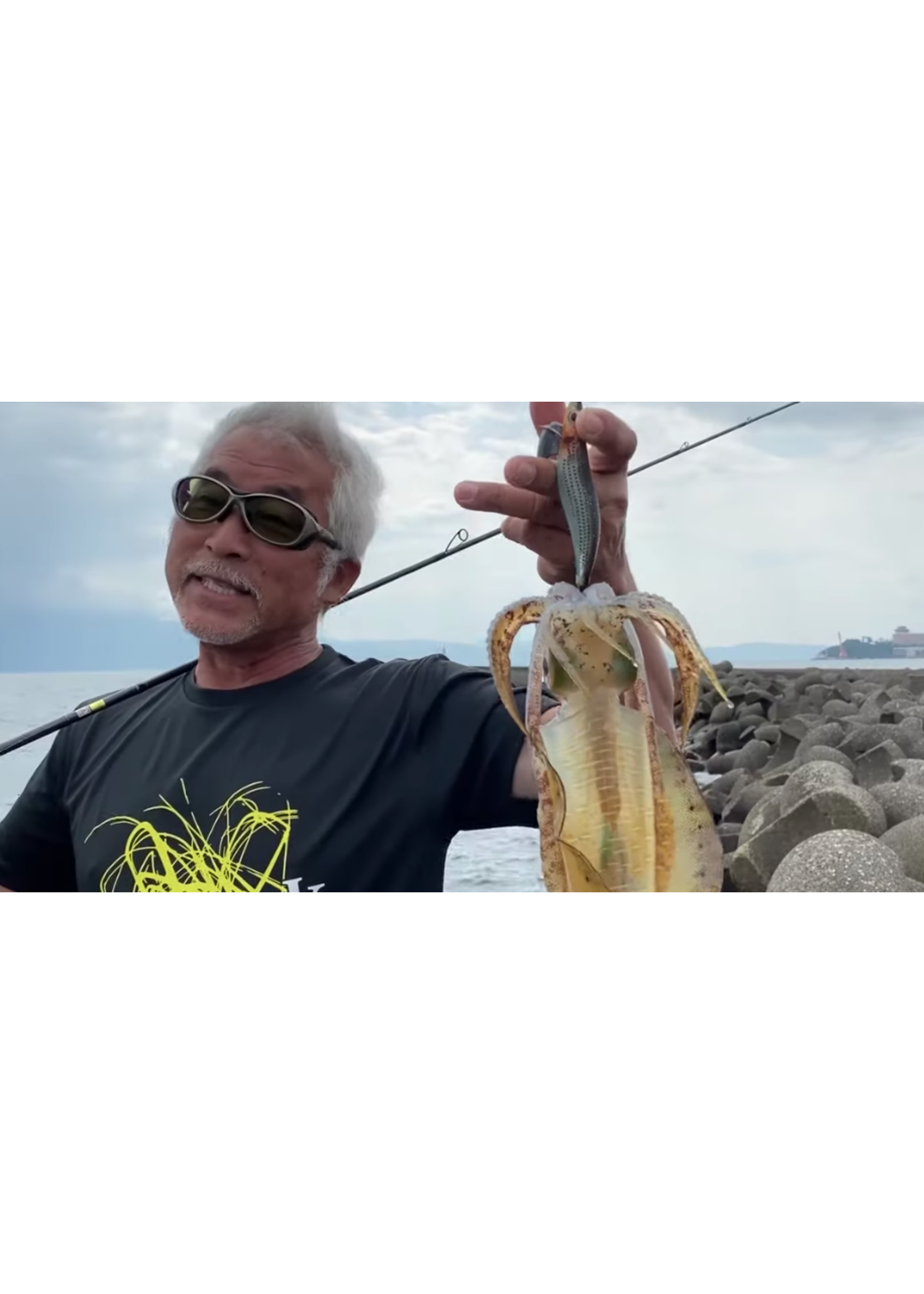 Gosen fishing line   Description Gosen Wild Jerk Egi braid 0.6 11lb 150m spool  Gosen Wild Jerk Egi squid fishing braid, 6 ply  four of the fibres ar braid fibres  the others 1 titanium coated  core and teflon coated line  developed by the man on the box in Japan  strong an