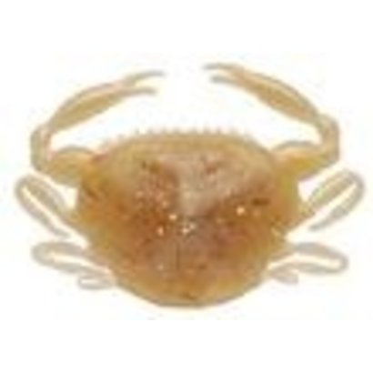 Berkley fishing Berkley gulp softbait 2 inch paddle crab Amber glow