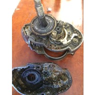 Fishing reel service.