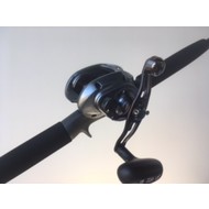 Daiwa fishing Daiwa bluewater 66BJB rod & Daiwa Lexa 300 reel
