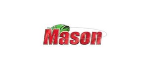 Mason lines