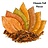 House E-liquid 50/50