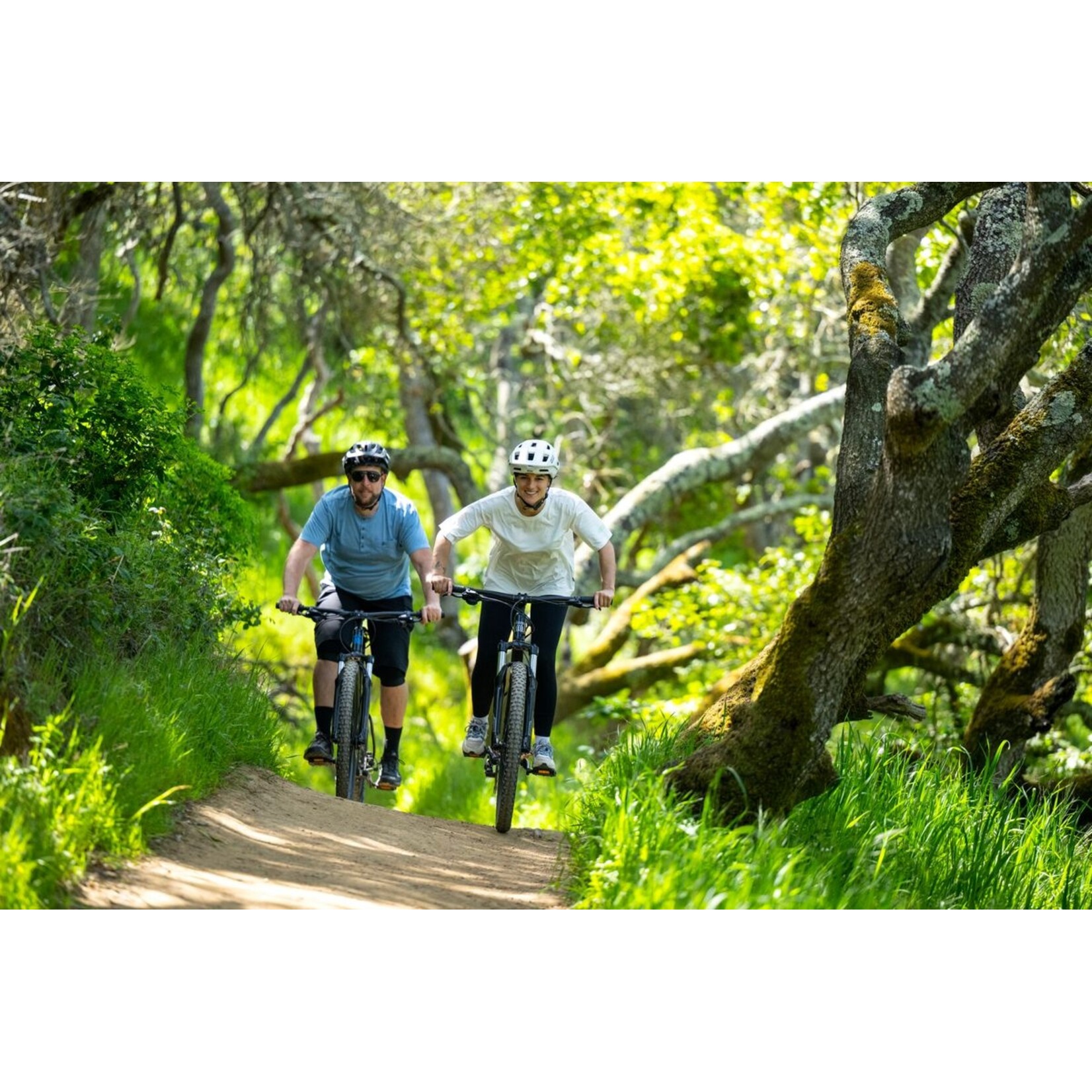 Marin BOLINAS RIDGE 2