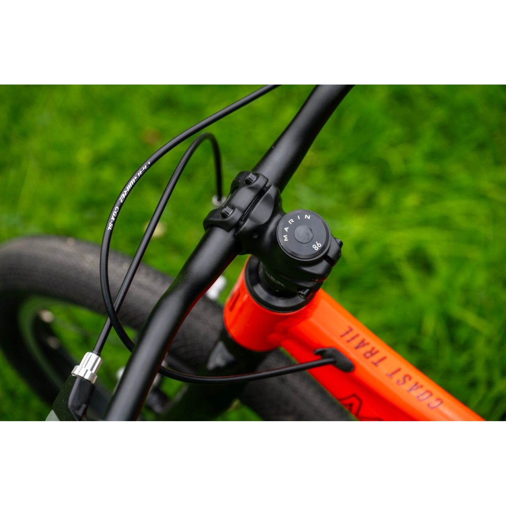 Marin COAST TRAIL 16