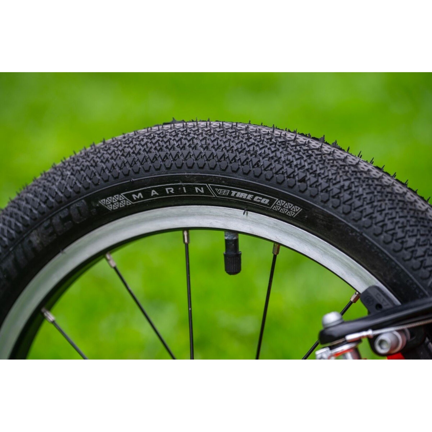 Marin COAST TRAIL 16