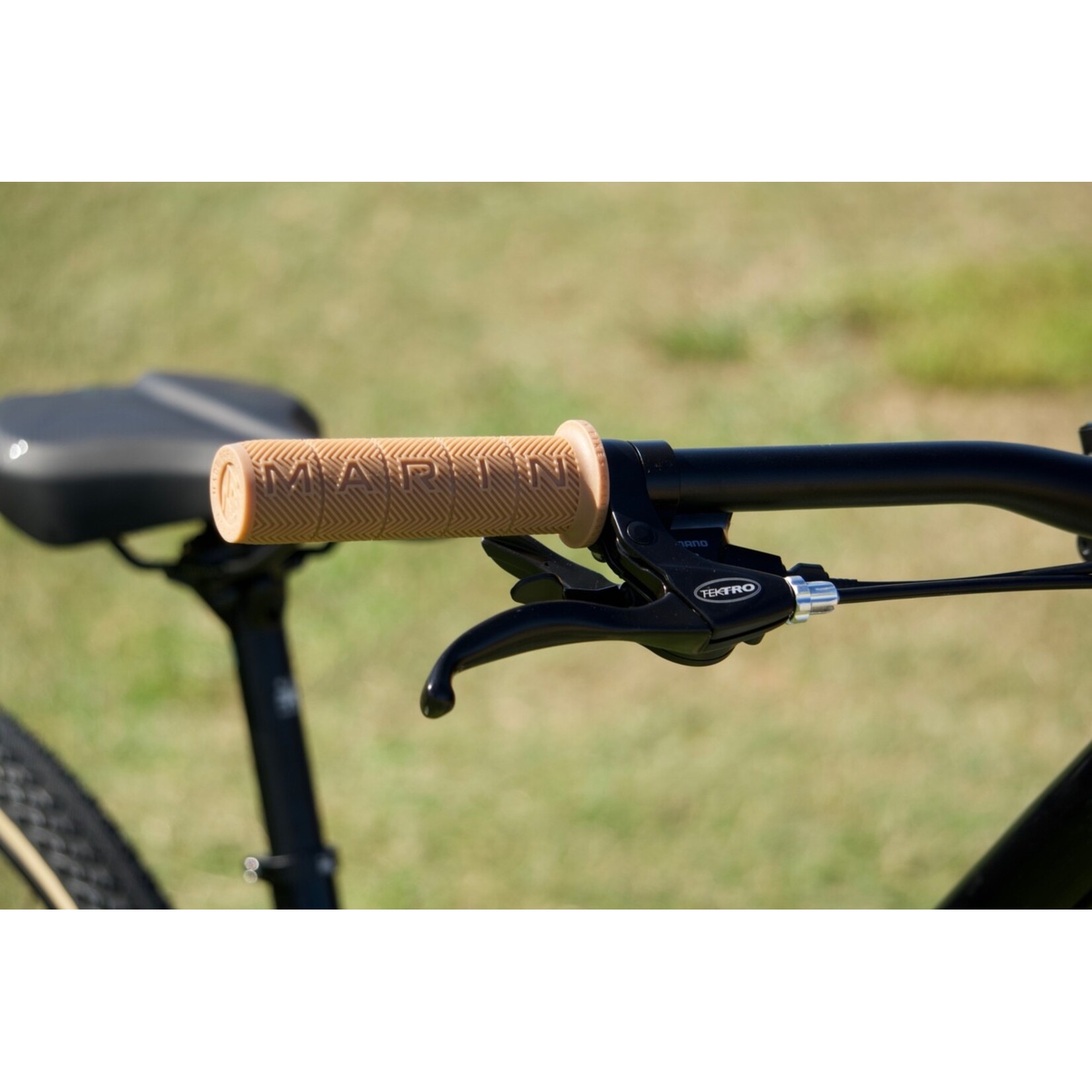 Marin KENTFIELD 1 ST