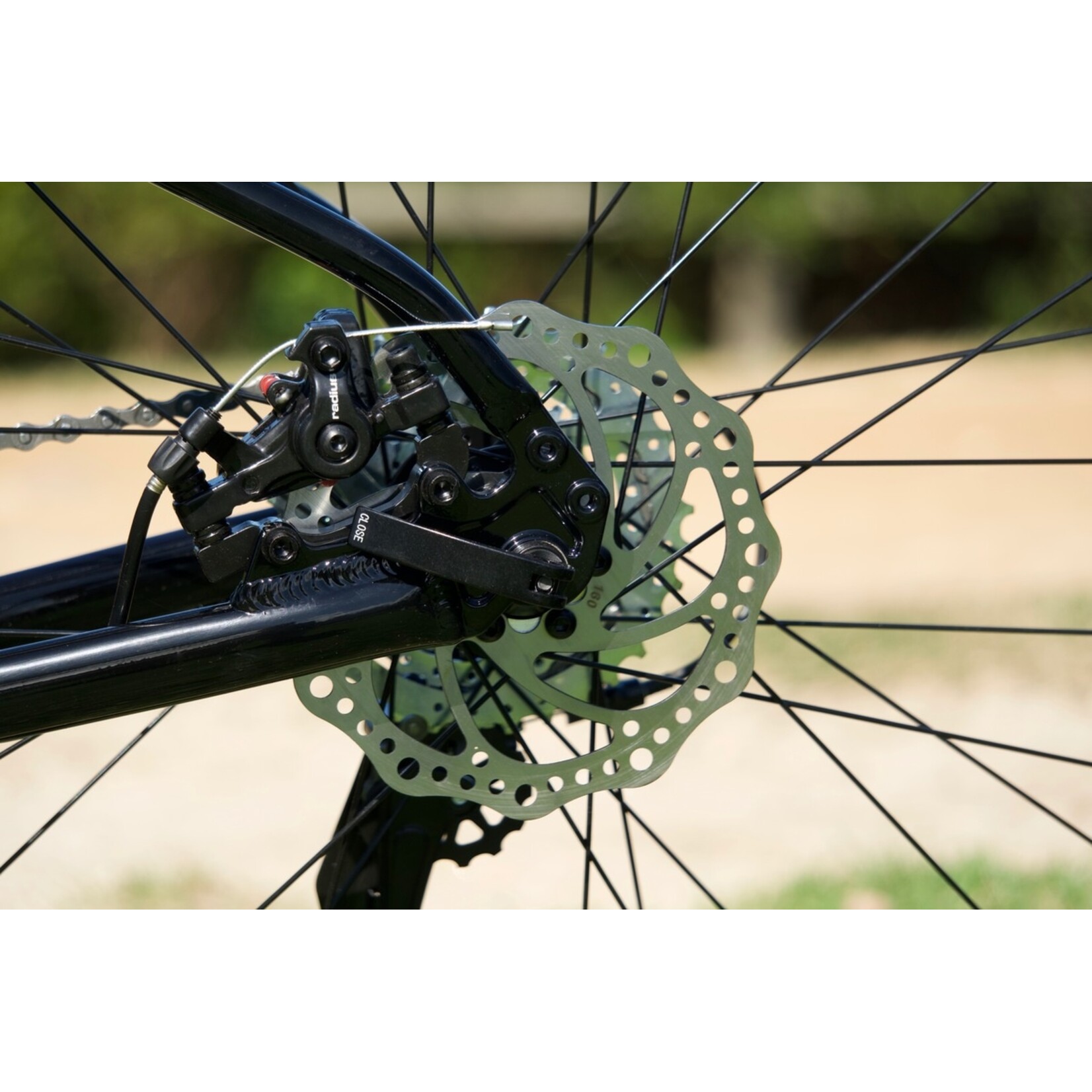 Marin KENTFIELD 1 ST