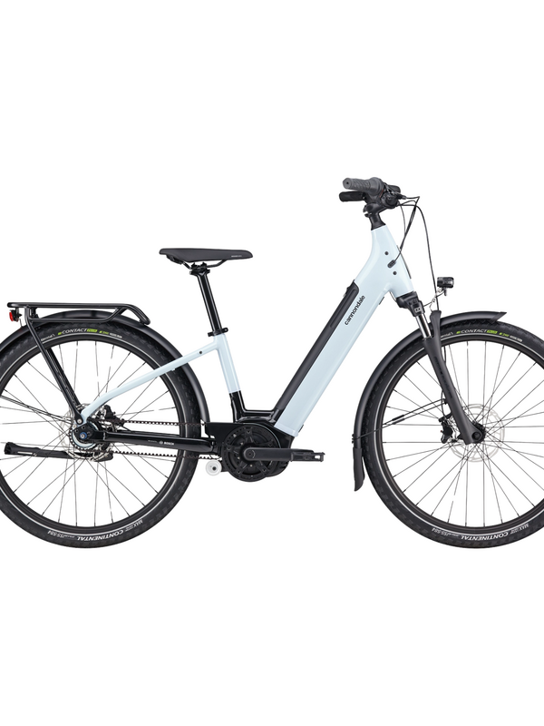 Cannondale Mavaro Neo 3 29