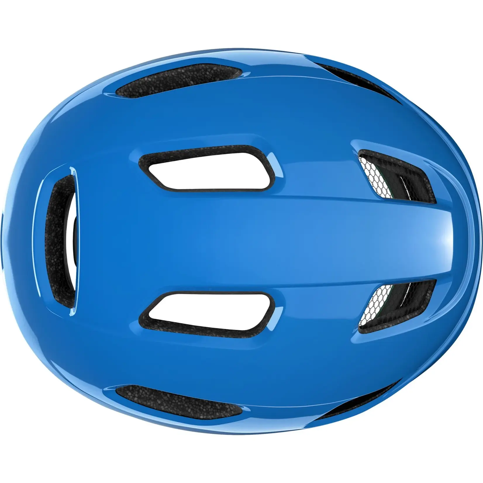 PNUT KINETICORE  BLEU