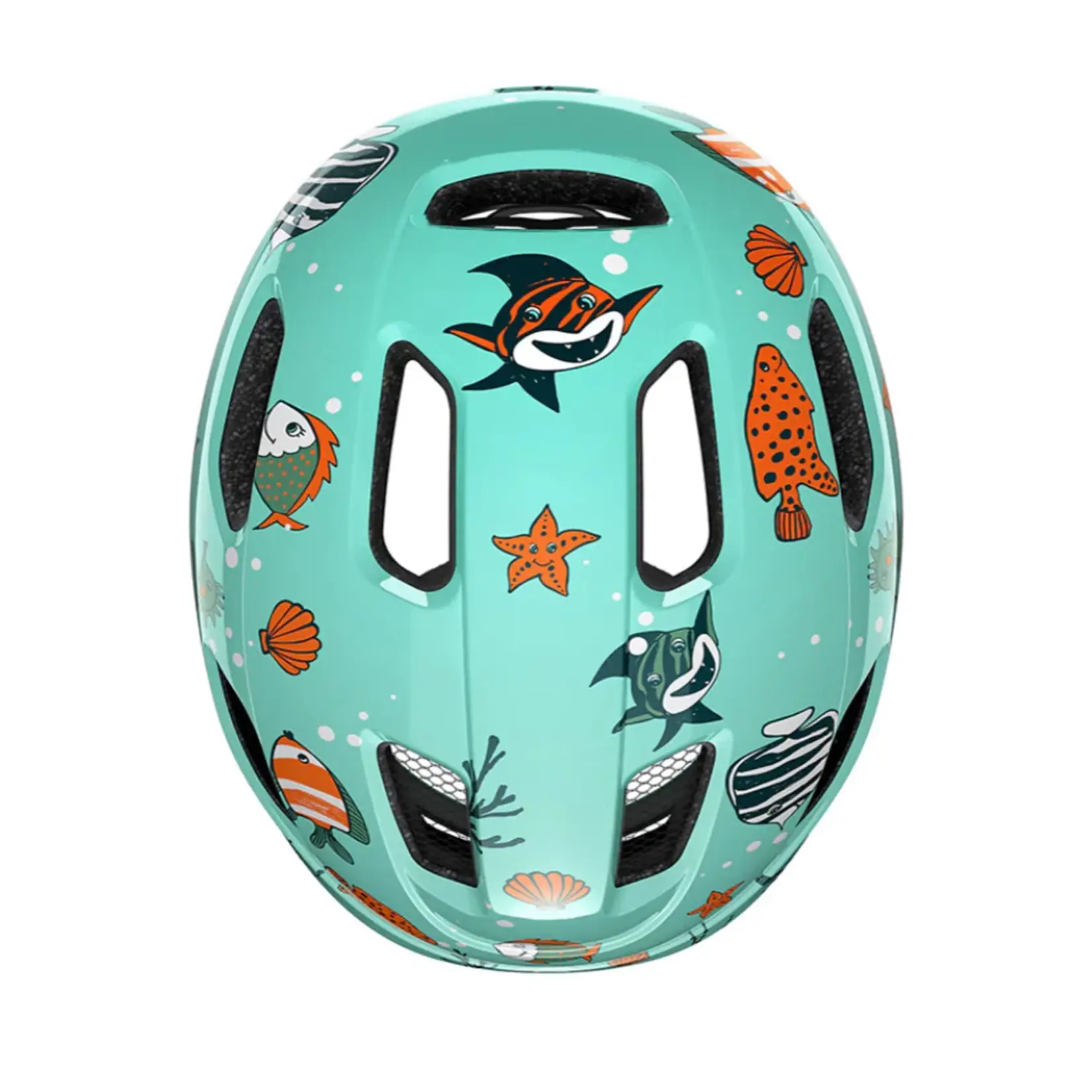 PNUT KINETICORE SEALIFE