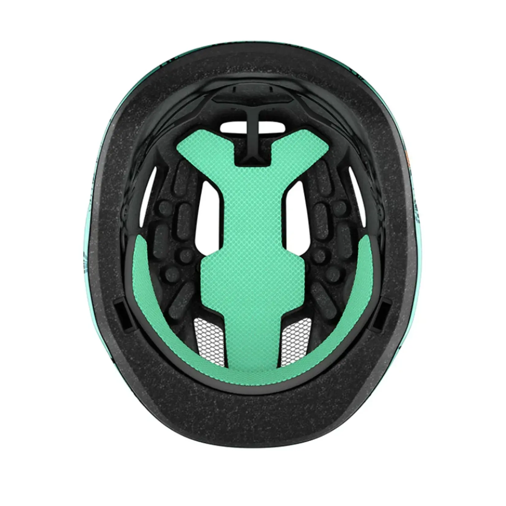 PNUT KINETICORE  BLUE