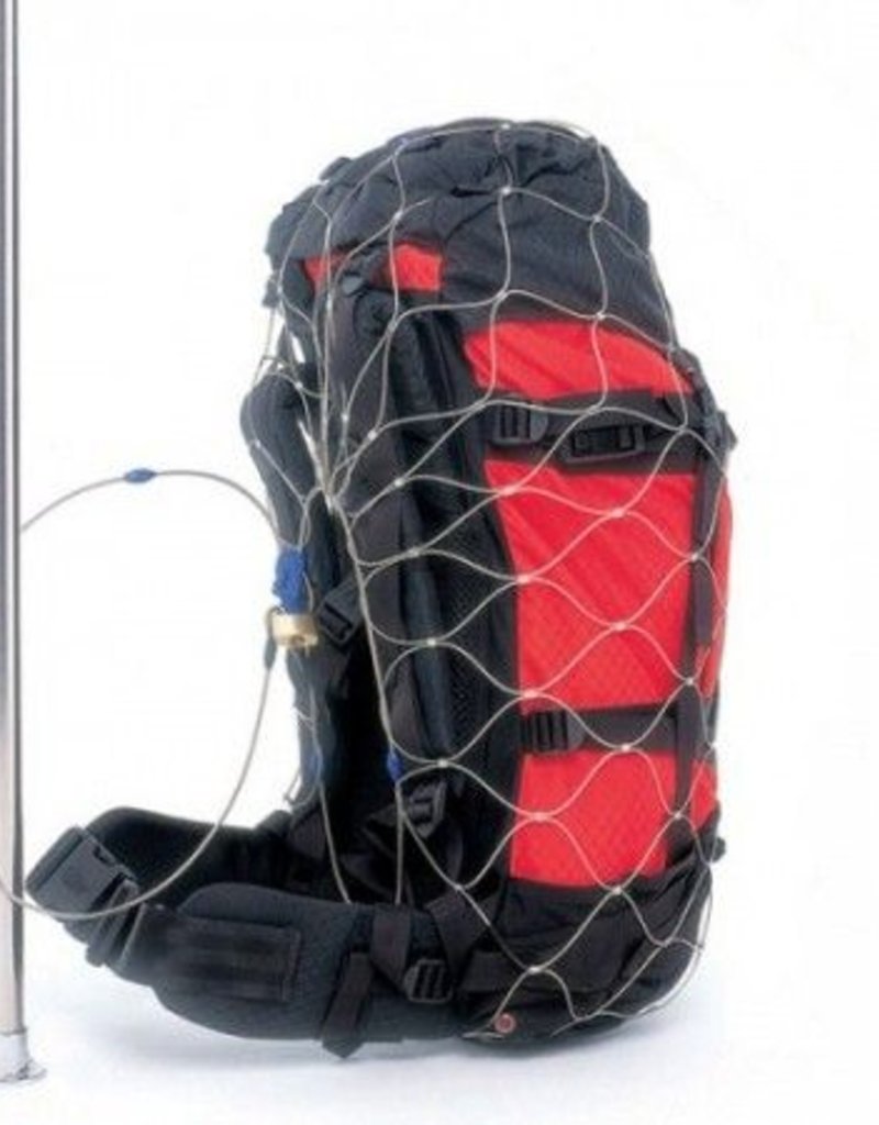 pacsafe backpack purse