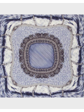 PRINTED CASHMERE SCARF: FEATHERS : BLUE
