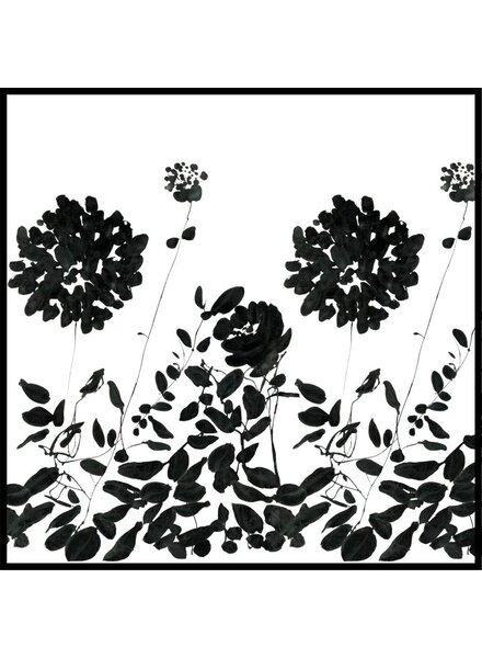 CASHMERE PRINTED SCARF: ORTENSIA: BLACK