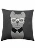 CASHMERE DOG PILLOW: 21" X 21": ANTHRACITE-GRAY