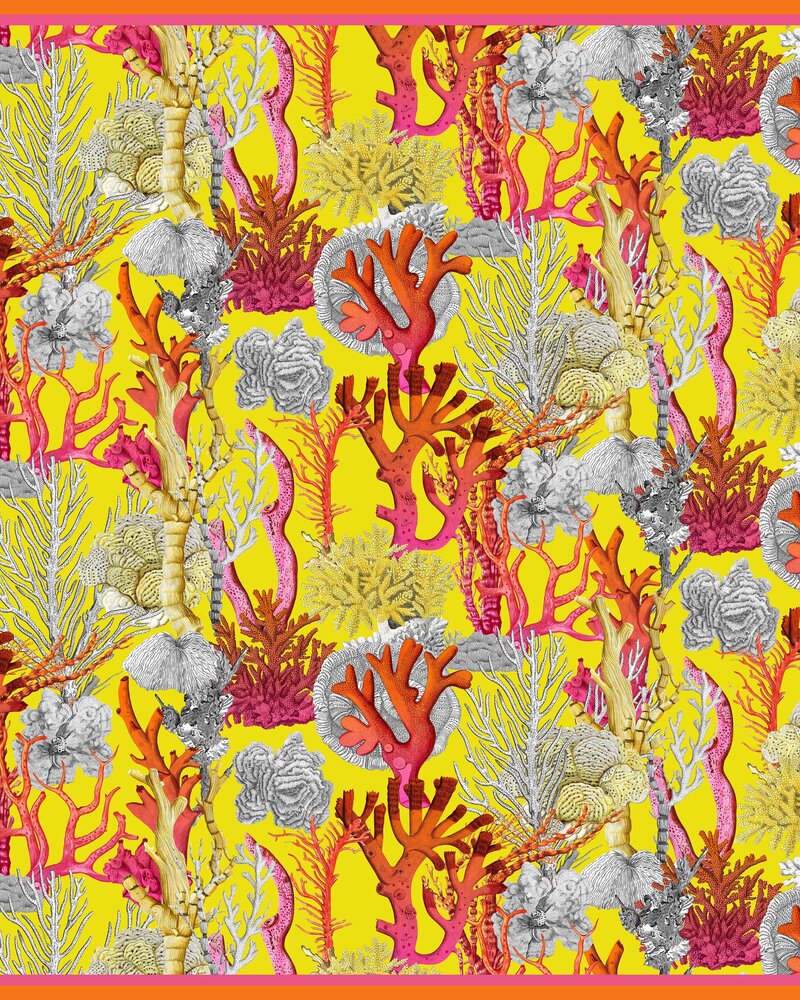 CASHMERE PRINTED SCARF: CORAL: YELLOW