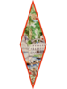 SILK PRINTED MINI LOSANGE: COMO: MULTI