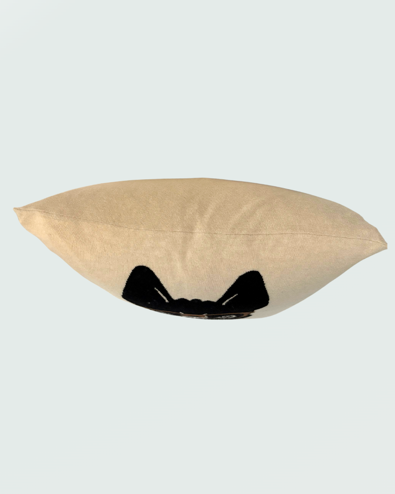 CASHMERE DOG PILLOW: 21" x 21": BEIGE-CHOCOLATE