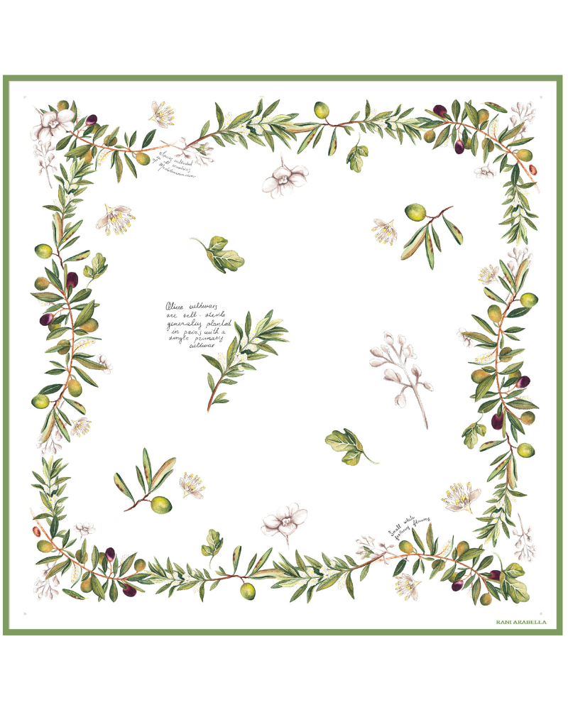 CASHMERE PRINTED SCARF: OLIVES